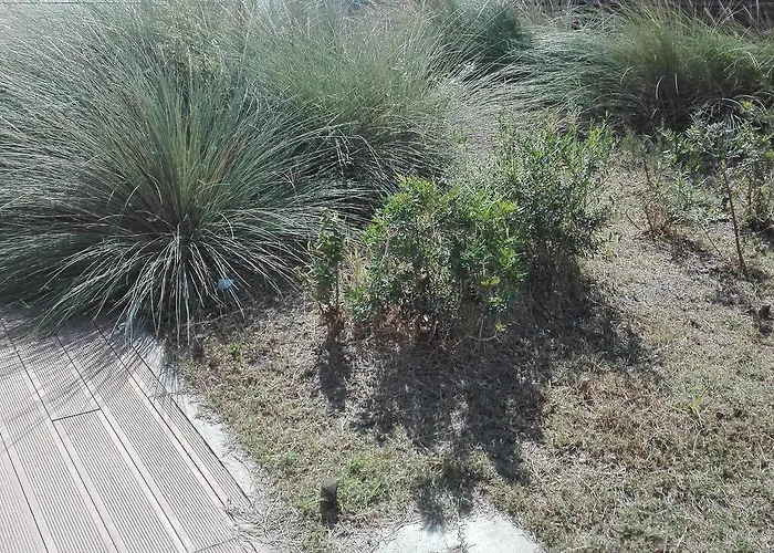 I Fiori 4* Quartu SantʼElena